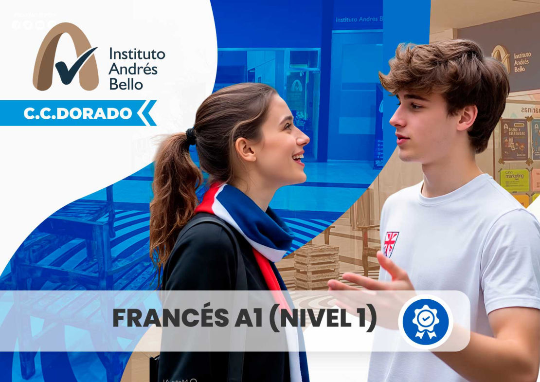 Francés A1 (Nivel 1)  - IFAB Barinas